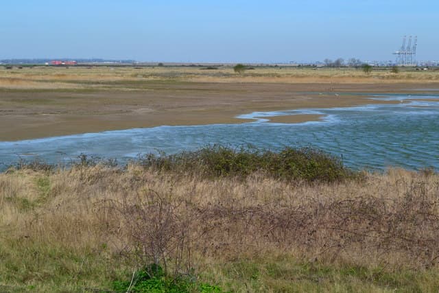 Water and reeds at the edge of Cliffe Pools